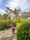 wohlfühlen garantiert - Garten