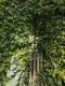 Historisches Anwesen im Lippetal - 5U0A9859
